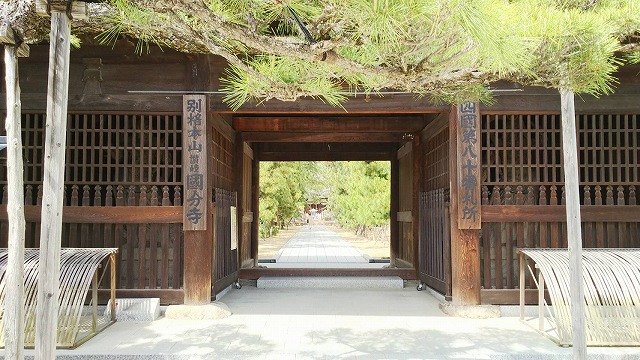f:id:koreshiru:20200919211708j:plain