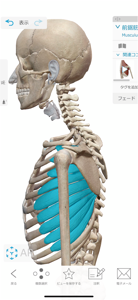 f:id:koriki0722:20210531193539p:image