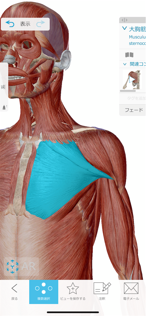 f:id:koriki0722:20210531193547p:image