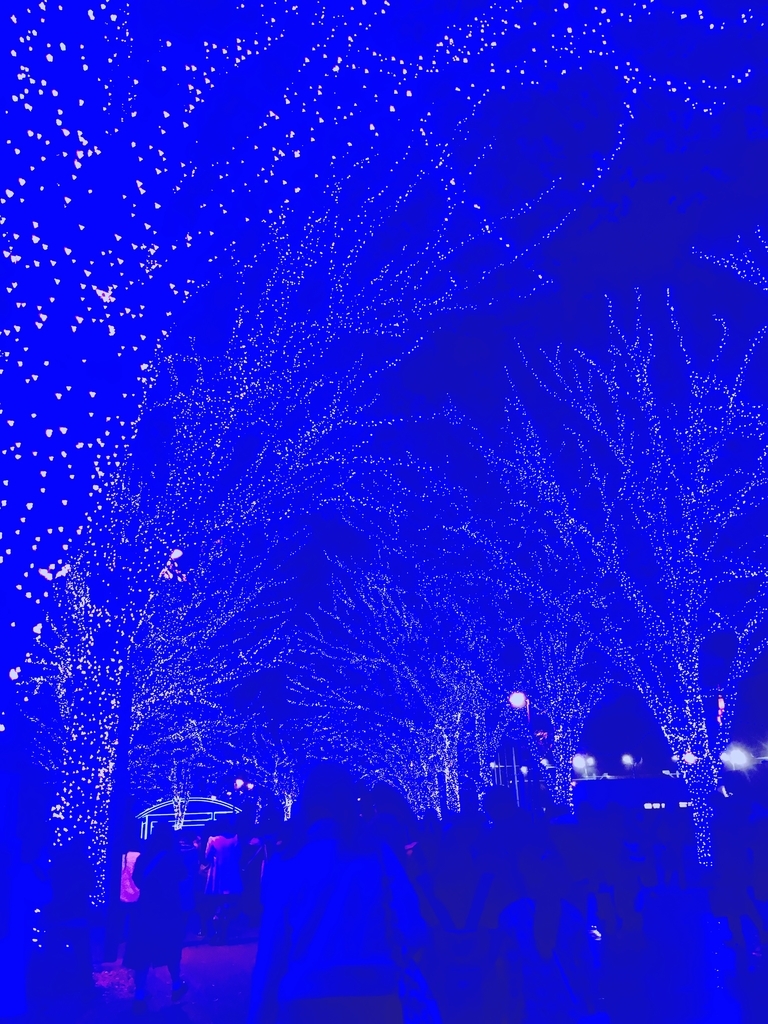 ザ 少年 倶楽部 19 ザ 少年倶楽部 放送曲リスト 19年12月13日