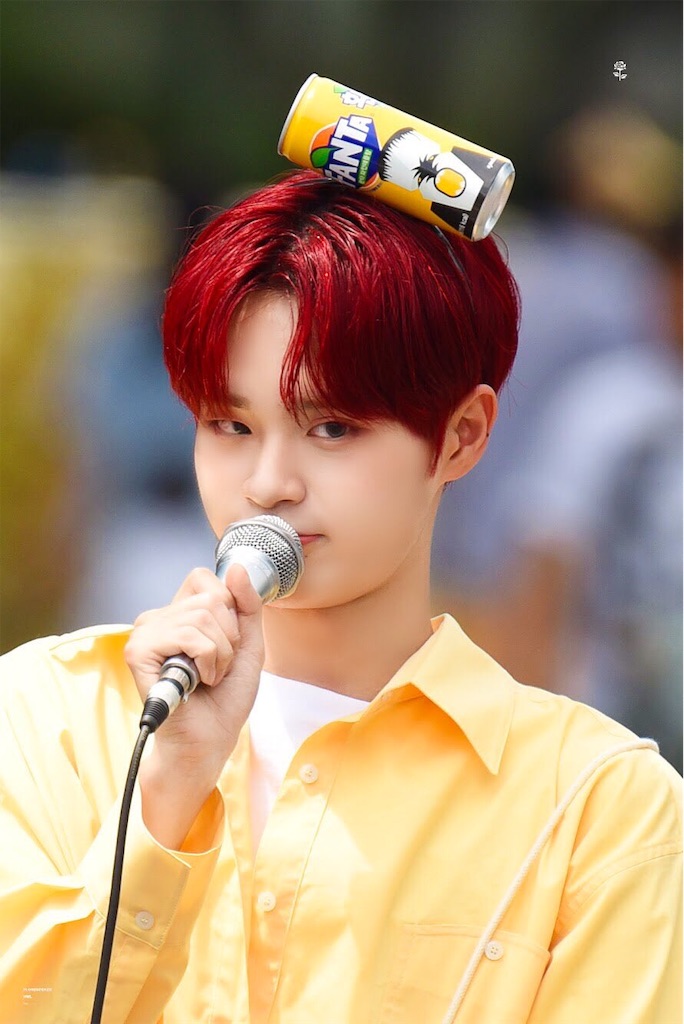 f:id:korinUm:20190530211236j:image