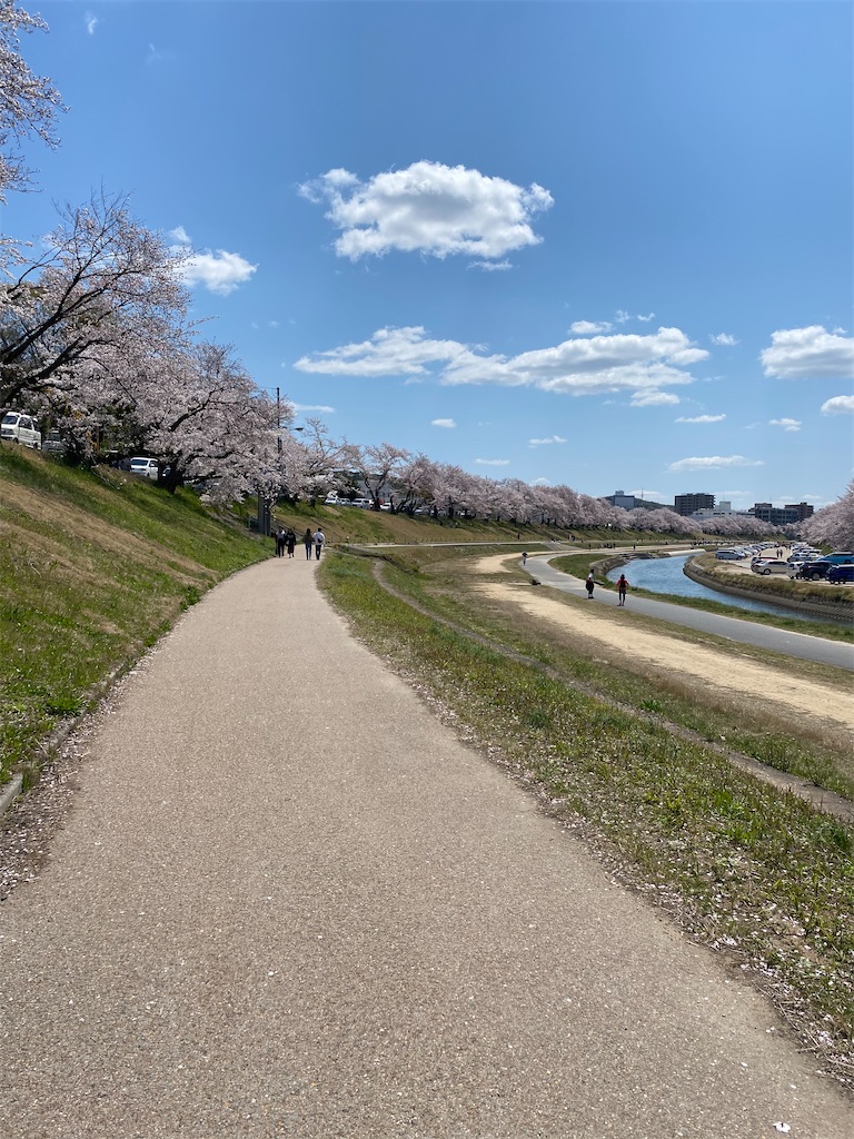 f:id:koriri7:20200407110110j:image