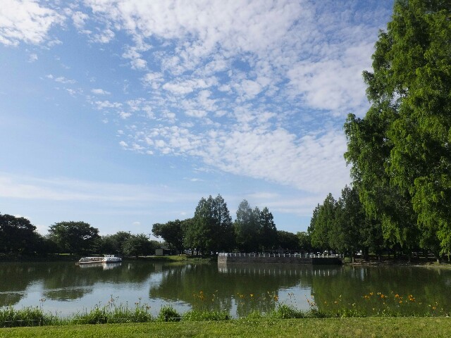 f:id:koro111koyampi:20180701223559j:image