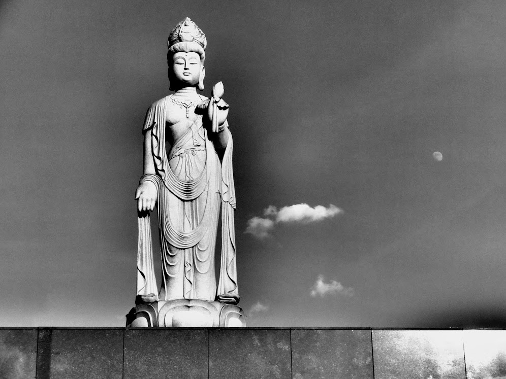 f:id:koro111koyampi:20180724191217j:plain