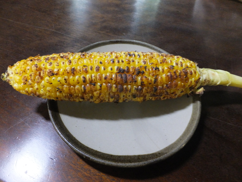 f:id:koro111koyampi:20180910192451j:plain