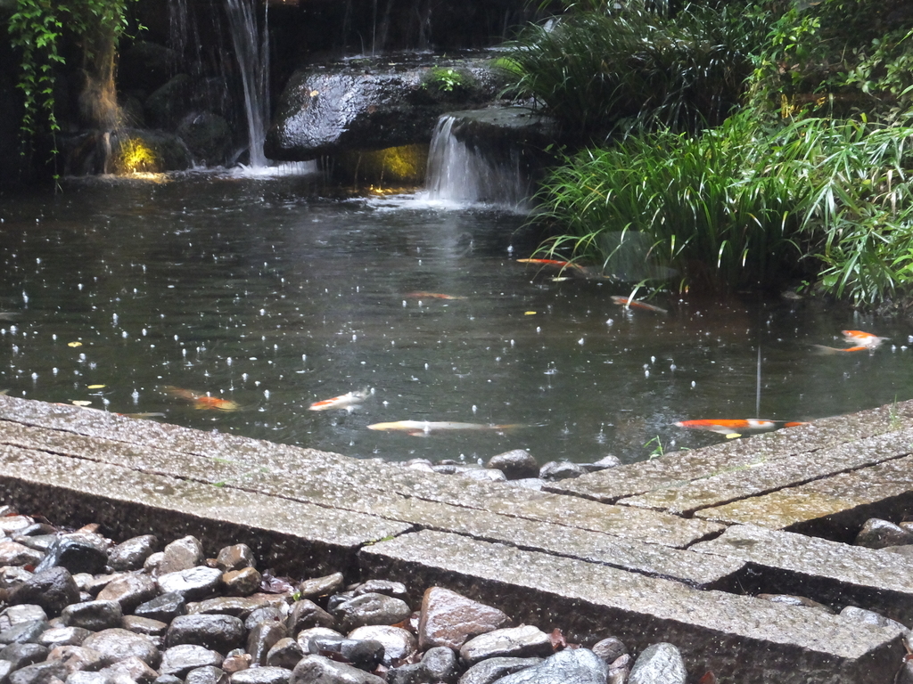 f:id:koro111koyampi:20180910192828j:plain