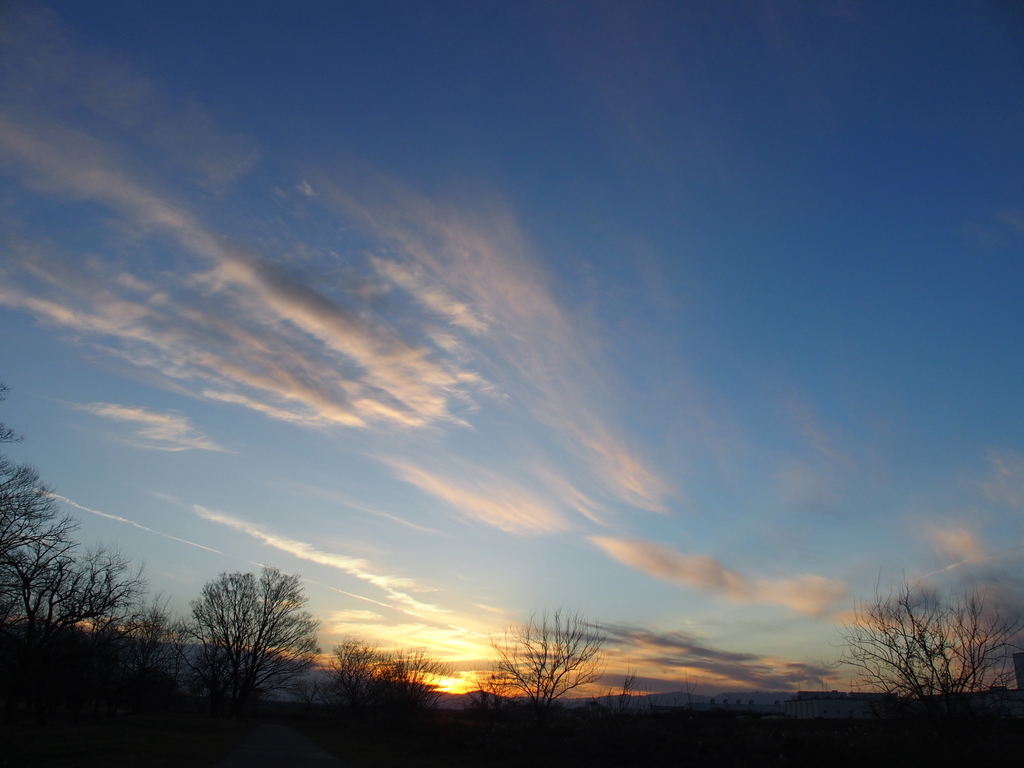 f:id:koro111koyampi:20190111183552j:plain