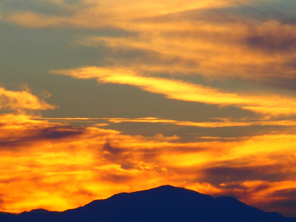 f:id:koro111koyampi:20190111184847j:plain