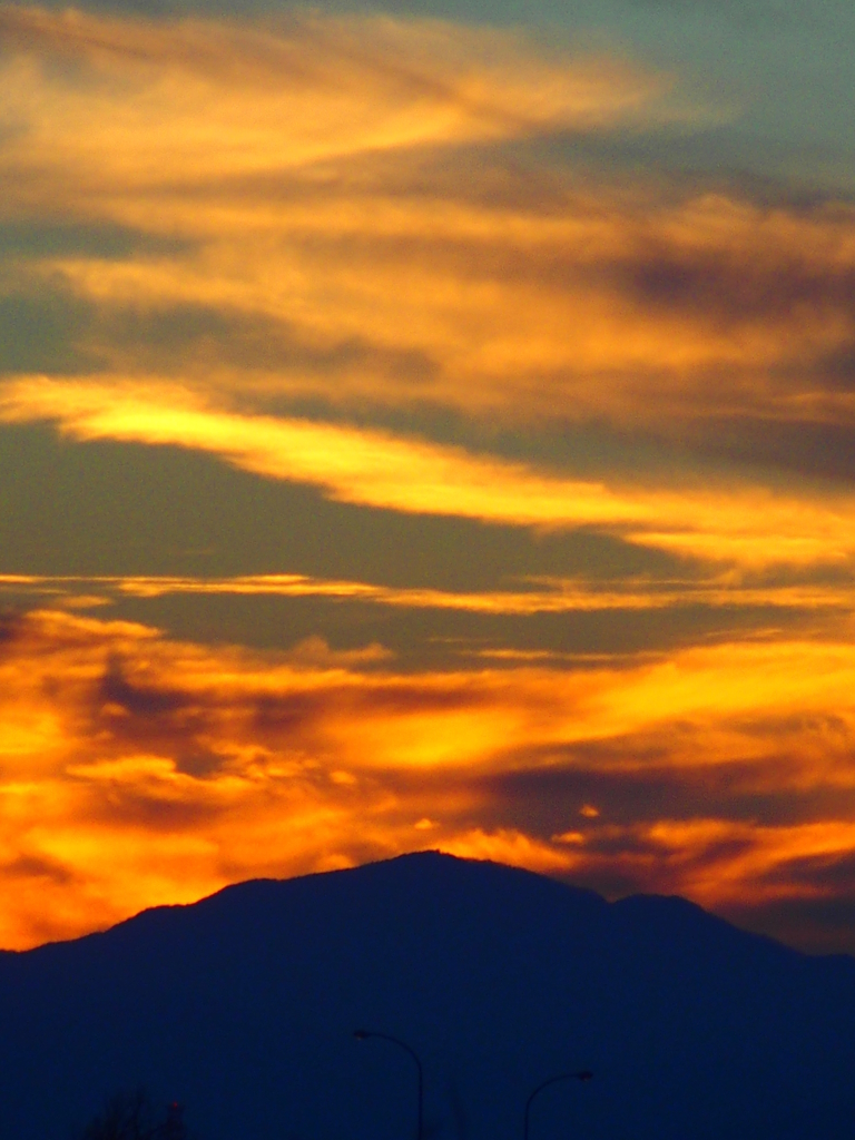 f:id:koro111koyampi:20190111184943j:plain