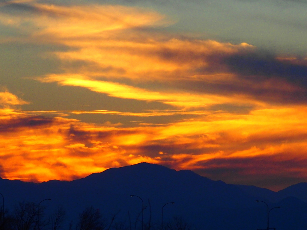 f:id:koro111koyampi:20190111185043j:plain