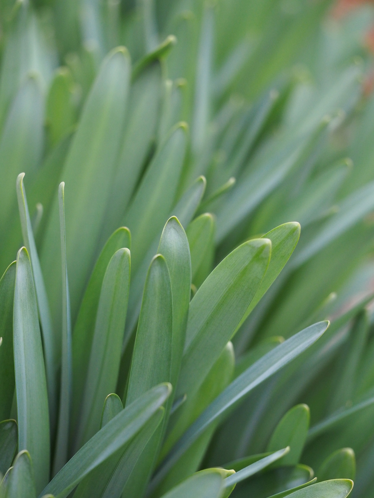 f:id:koro111koyampi:20190307220021j:plain f:id:koro111koyampi:20190307220021j:plain