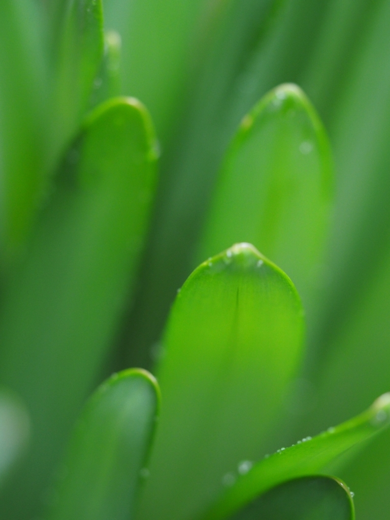 f:id:koro111koyampi:20190307220035j:plain f:id:koro111koyampi:20190307220035j:plain