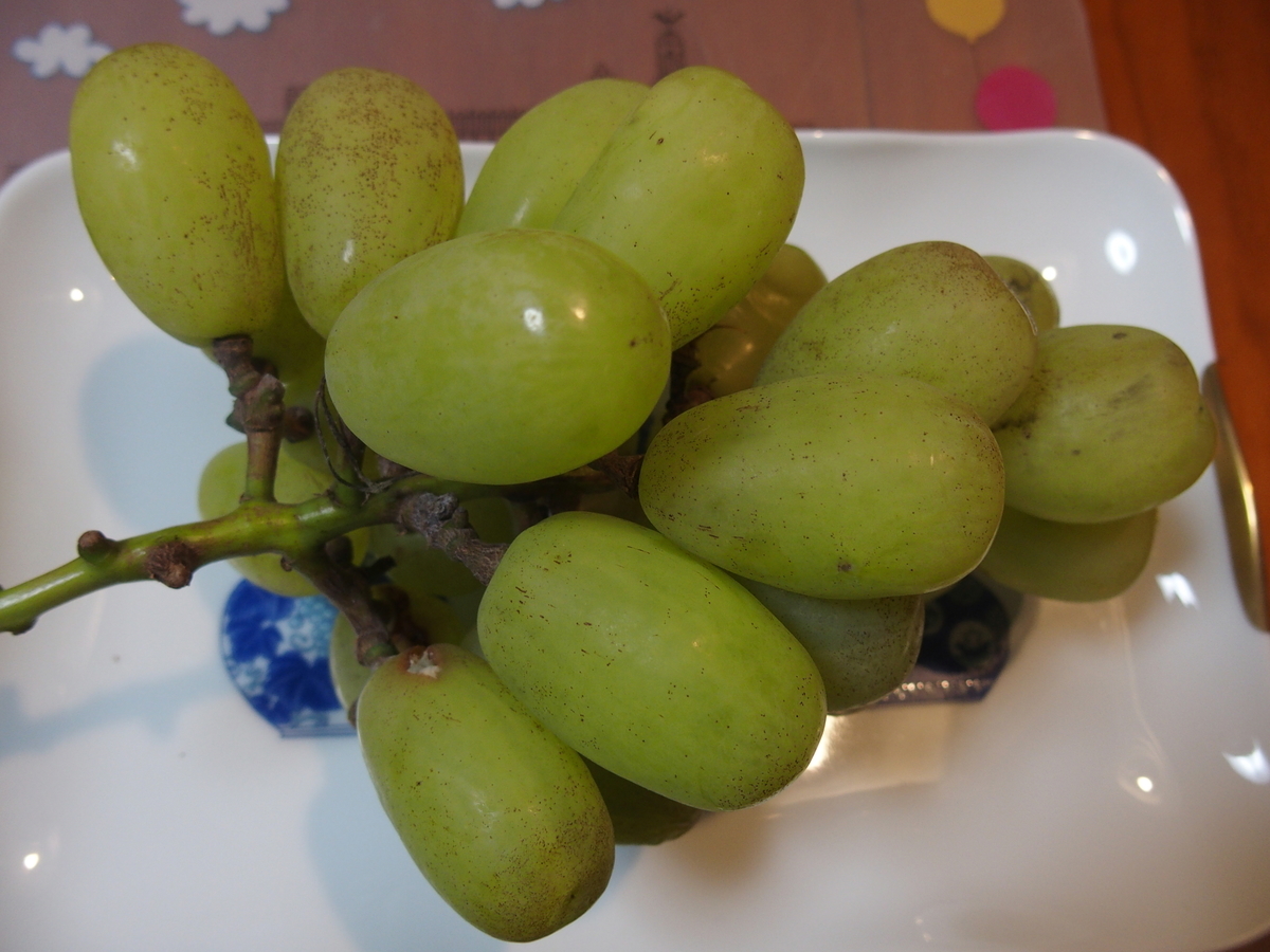 f:id:koro111koyampi:20190822205713j:plain