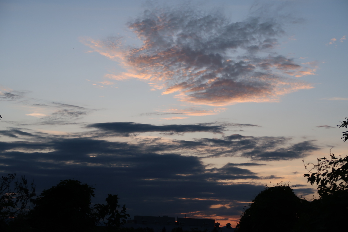 f:id:koro111koyampi:20190925190252j:plain