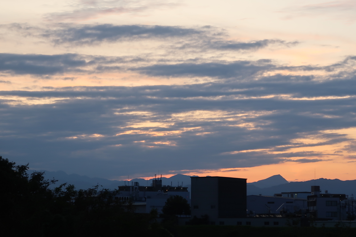 f:id:koro111koyampi:20190925190309j:plain