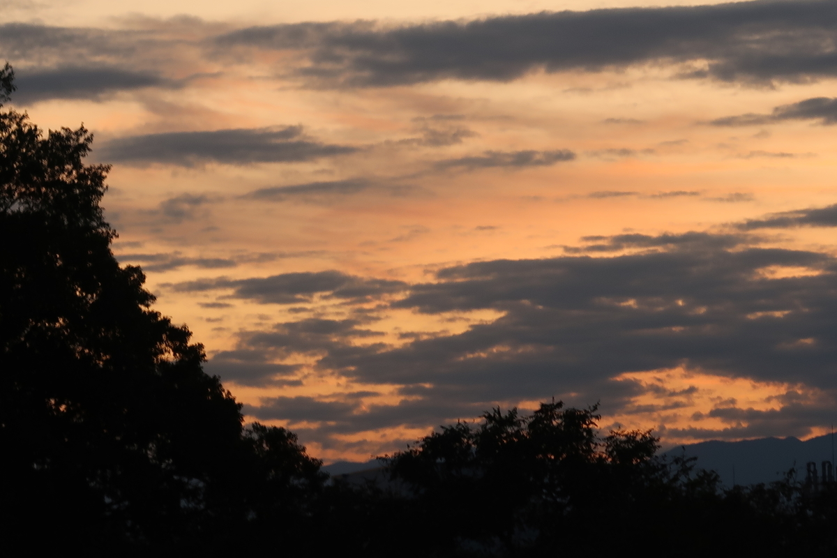 f:id:koro111koyampi:20190925190314j:plain