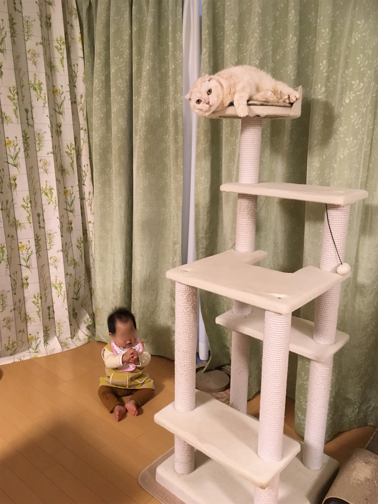 f:id:koro6163:20190223204040p:image f:id:koro6163:20190223204040p:image