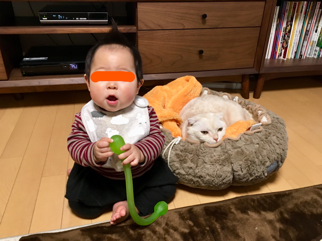 f:id:koro6163:20190223204059p:image f:id:koro6163:20190223204059p:image