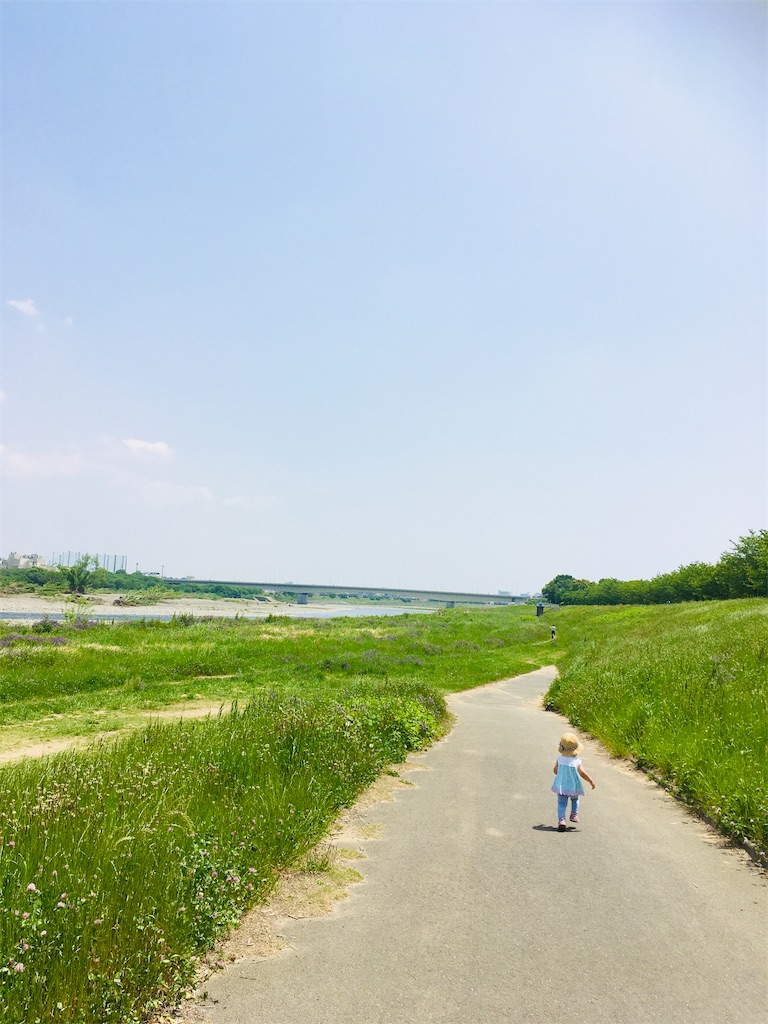 f:id:koro6163:20200528141053j:image