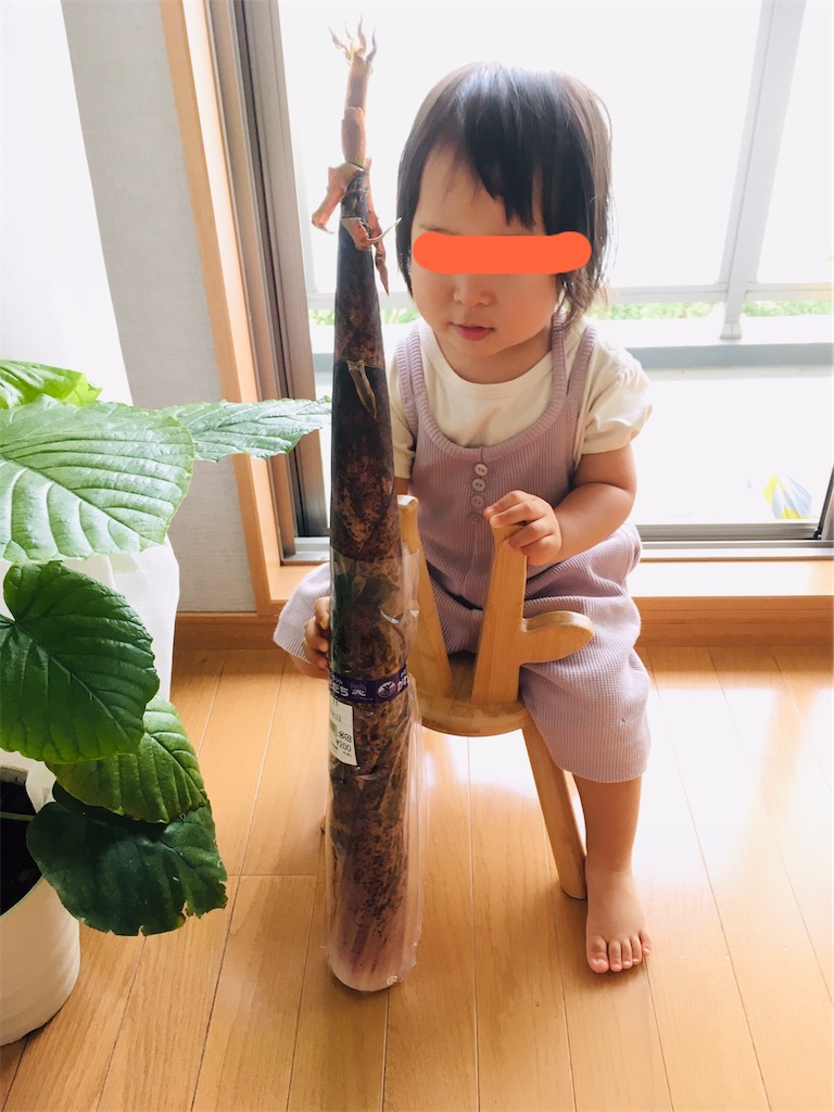 f:id:koro6163:20200626151544j:image f:id:koro6163:20200626151544j:image