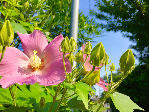 f:id:koro6163:20200917150537j:plain f:id:koro6163:20200917150537j:plain