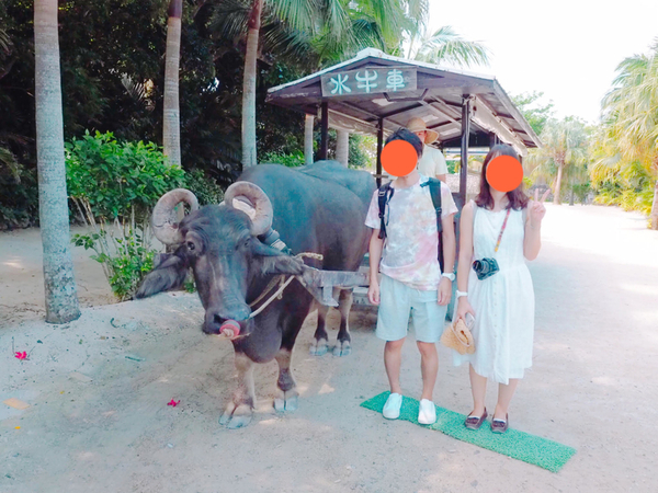 f:id:koro6163:20200923142905j:plain f:id:koro6163:20200923142905j:plain