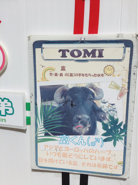 f:id:koro6163:20200923142918j:plain f:id:koro6163:20200923142918j:plain