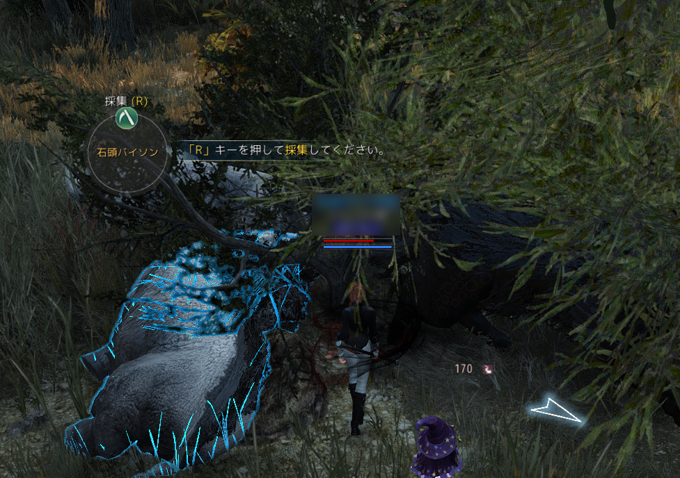 黒い砂漠 黒い結晶の破片が欲しい 転がるネコ