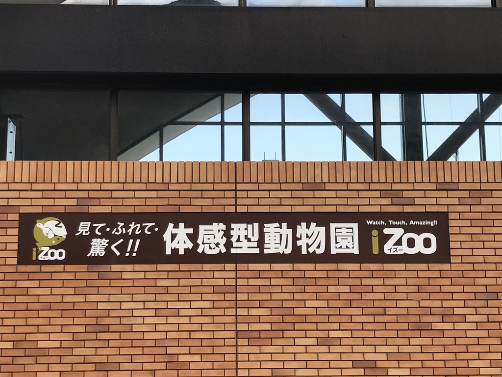 f:id:korochannel:20181117112721j:plain