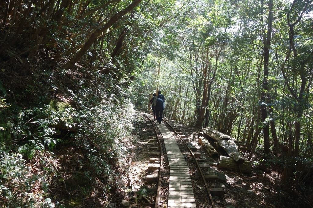 f:id:korofugu:20181115234150j:plain