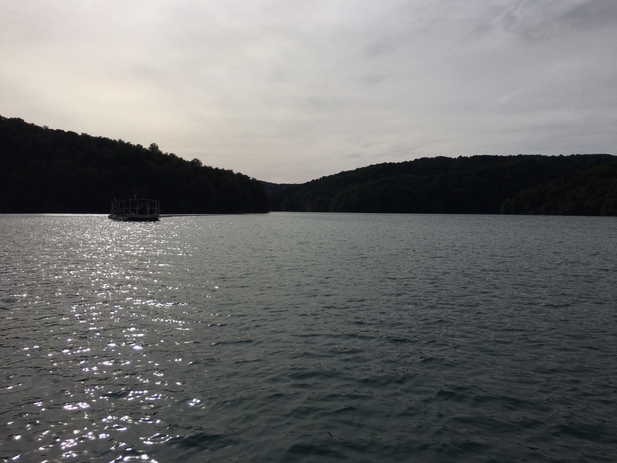 f:id:korofugu:20191105183715j:plain