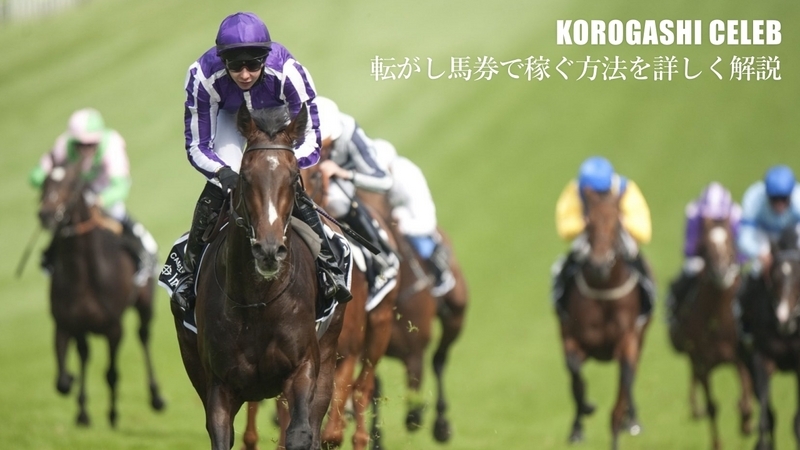 転がし馬券で稼ぐ方法を詳しく解説。