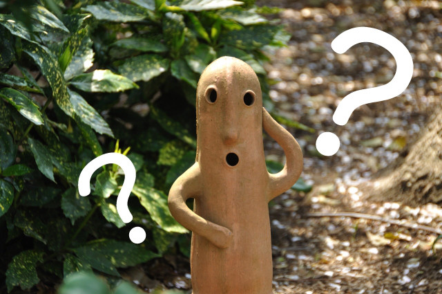 f:id:korohacurry:20190122161209j:plain f:id:korohacurry:20190122161209j:plain