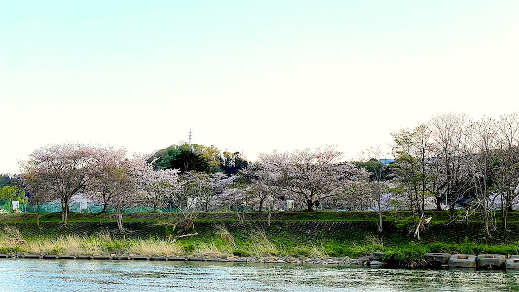 f:id:korokoro-nekochan:20200406221520j:image