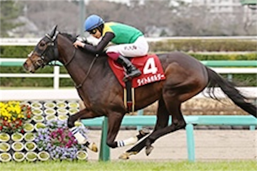 f:id:korokoro27112:20210919074455j:image
