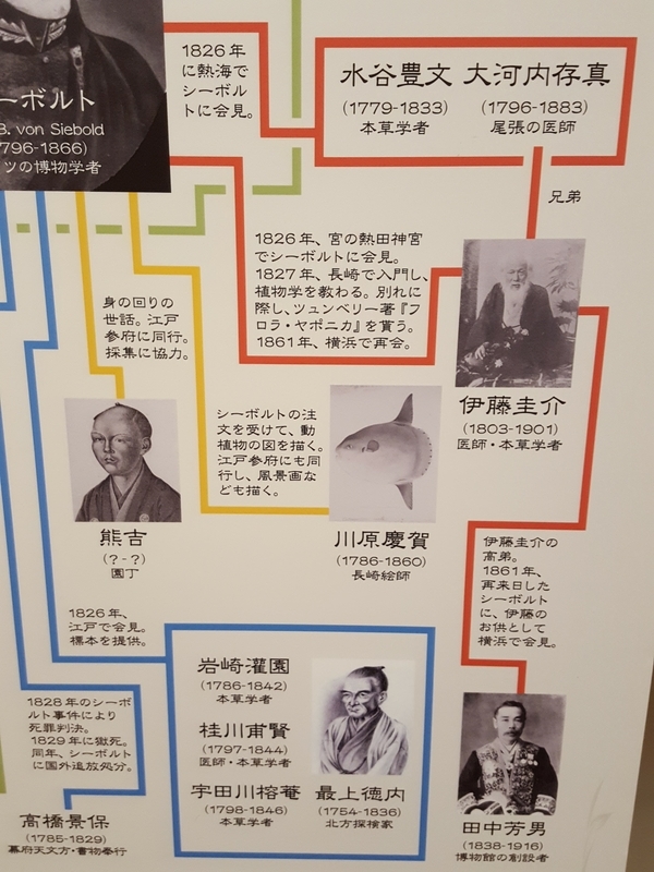 鈴木銀嶺『四季花鳥図』四幅対 美術年鑑掲載作家 各展入 大綜美術会会員 掛軸 鈴木銀嶺『四季花鳥図』四幅対 美術年鑑掲載作家 各展入 大綜