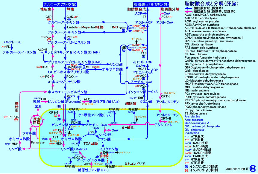 f:id:korokoroblog:20170125034603p:plain