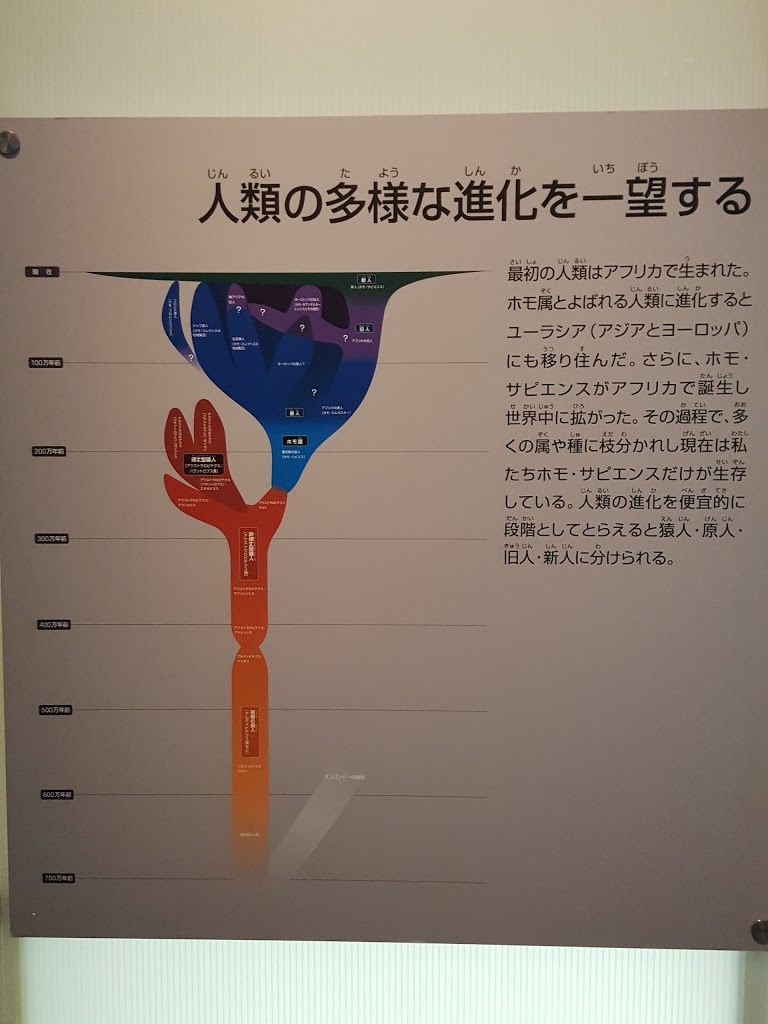 f:id:korokoroblog:20170221033116p:plain