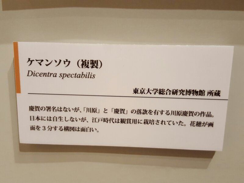 □サントリー美術館で見た鈴木其一《四季花鳥図屏風》 - ｺﾛｺﾛのアート