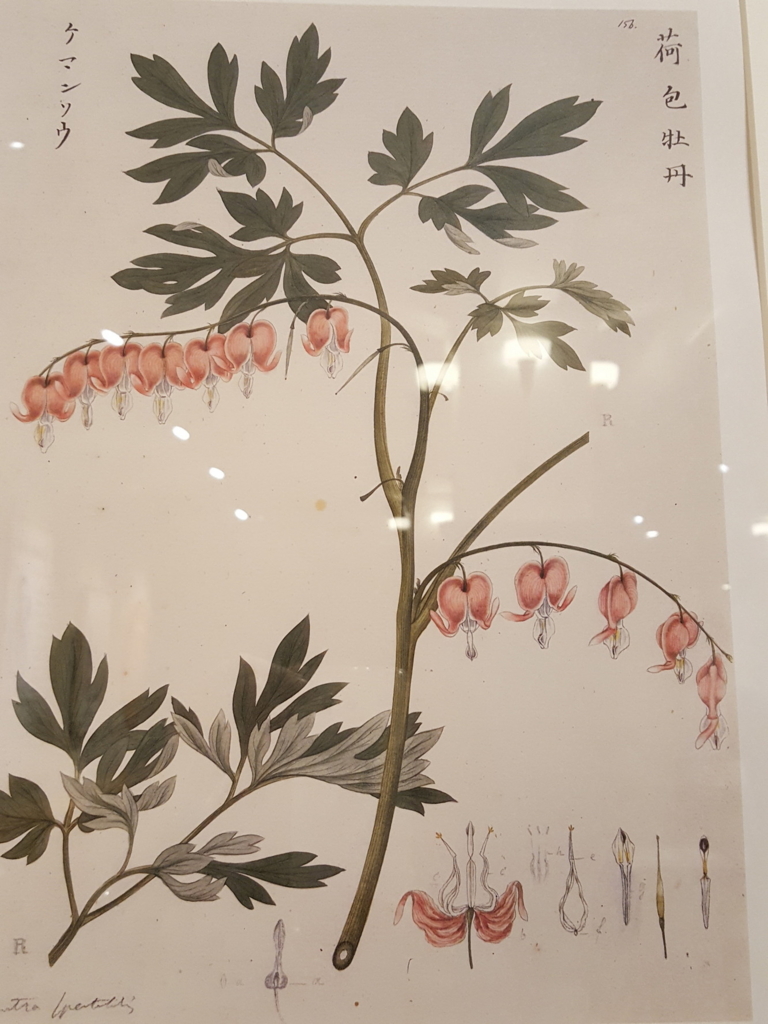 □サントリー美術館で見た鈴木其一《四季花鳥図屏風》 - ｺﾛｺﾛの
