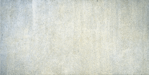 妙心寺 重要文化財 日本画 屏風 10隻 狩野山楽 海北友松 圓山応挙 レプリカ □海北友松展：作風の変遷 流れる血は武士ですが… - ｺﾛｺﾛのアート 見て