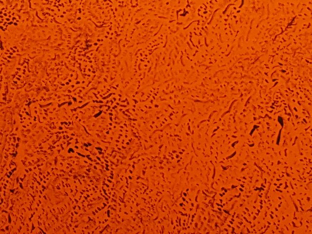 f:id:korokoroblog:20170512044654j:plain