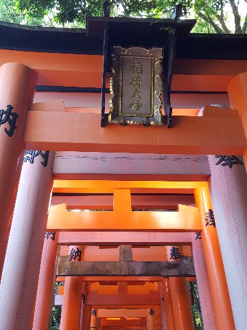 f:id:korokoroblog:20170524073857j:plain