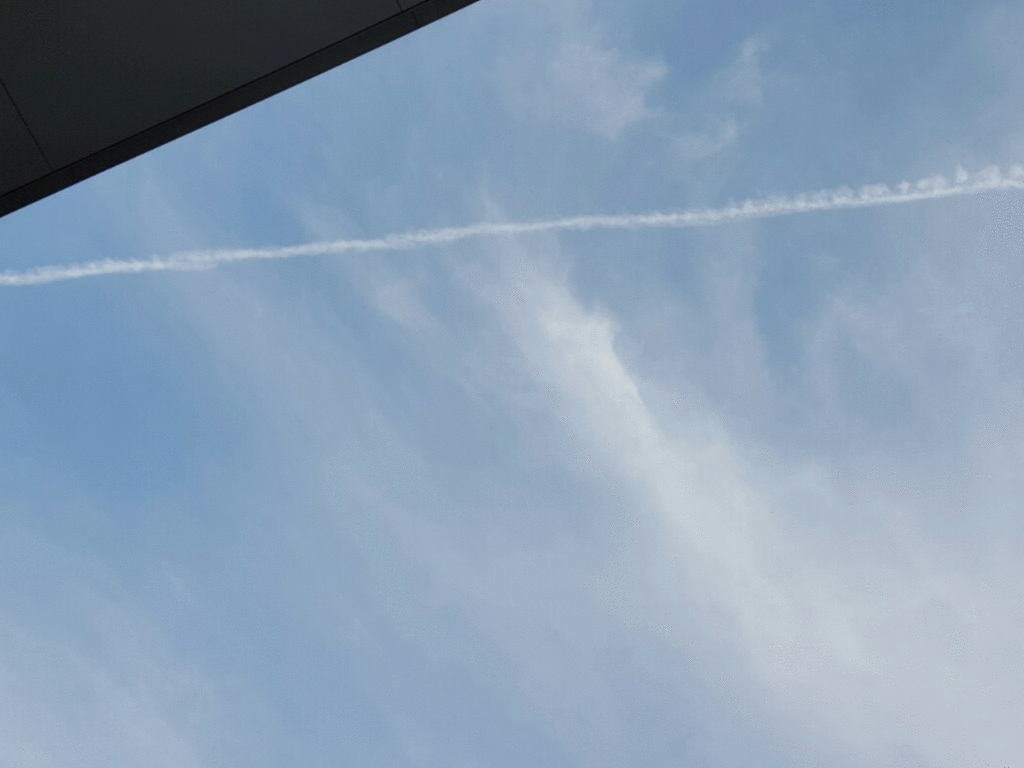 f:id:korokoroblog:20170524100721g:plain