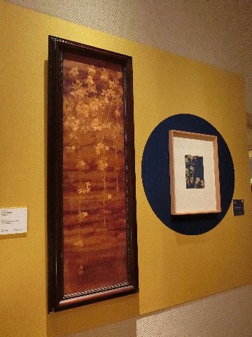 f:id:korokoroblog:20171023191809j:plain