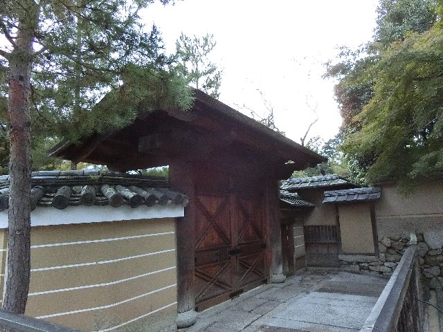 f:id:korokoroblog:20171105140835j:plain f:id:korokoroblog:20171105140835j:plain