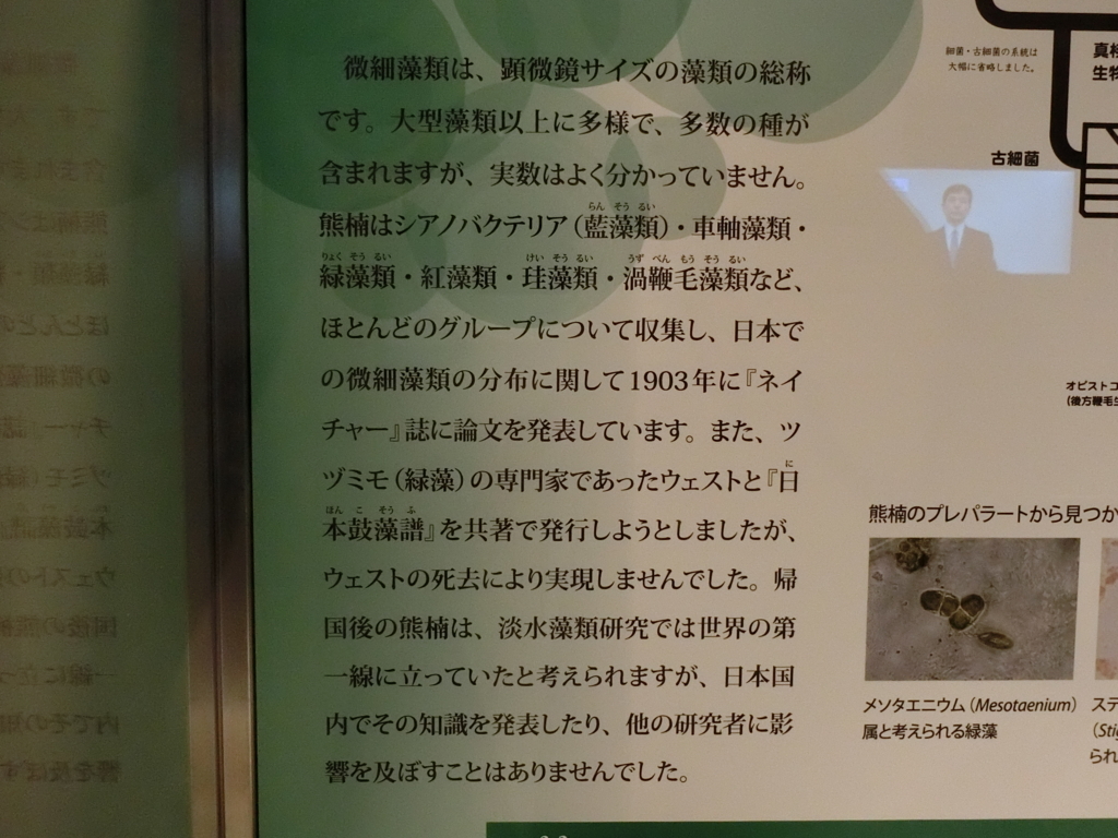 f:id:korokoroblog:20171226050457j:plain f:id:korokoroblog:20171226050457j:plain