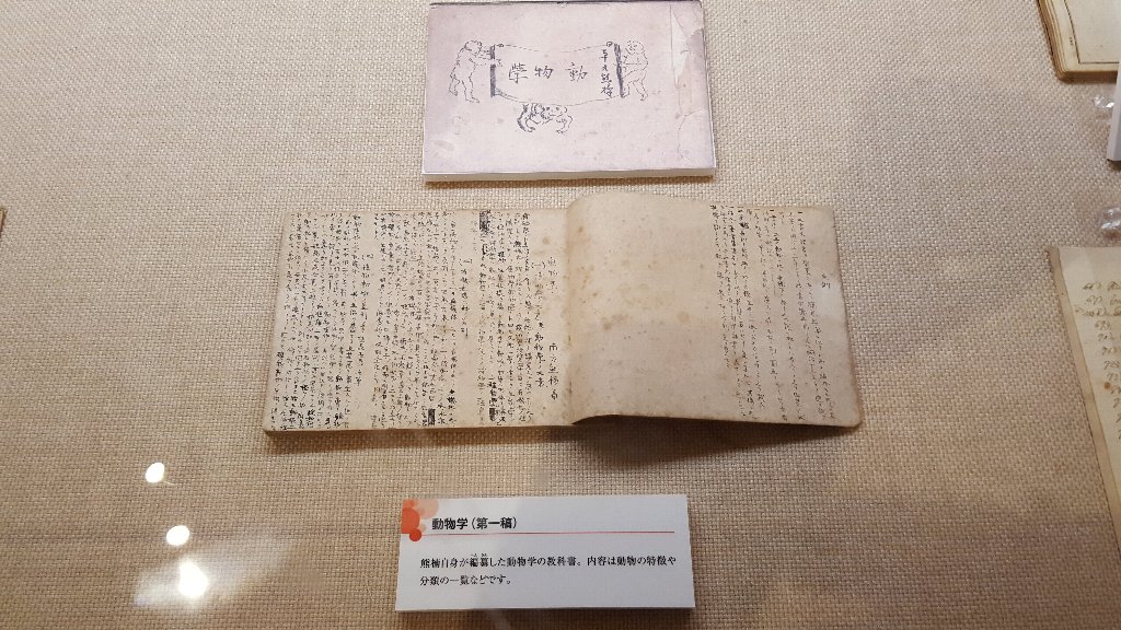 f:id:korokoroblog:20180106132928j:plain f:id:korokoroblog:20180106132928j:plain