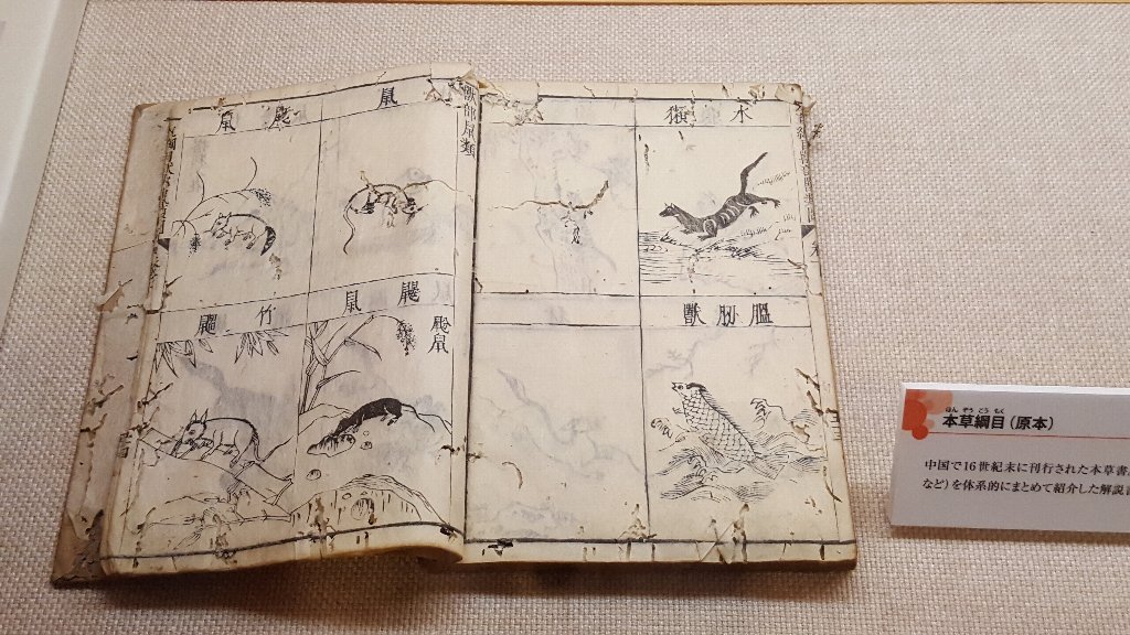 f:id:korokoroblog:20180106133222j:plain f:id:korokoroblog:20180106133222j:plain