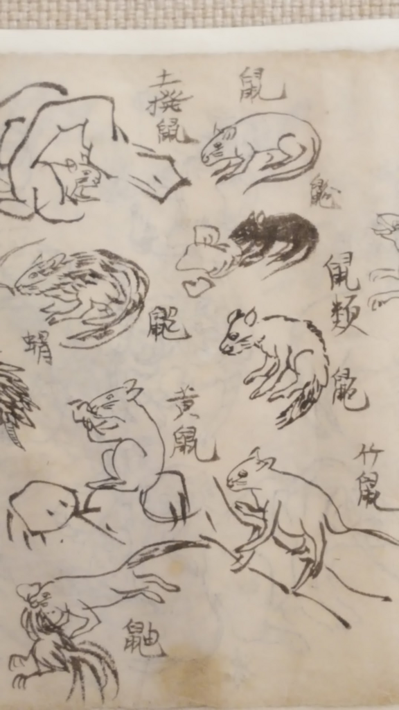 f:id:korokoroblog:20180106133557p:plain f:id:korokoroblog:20180106133557p:plain